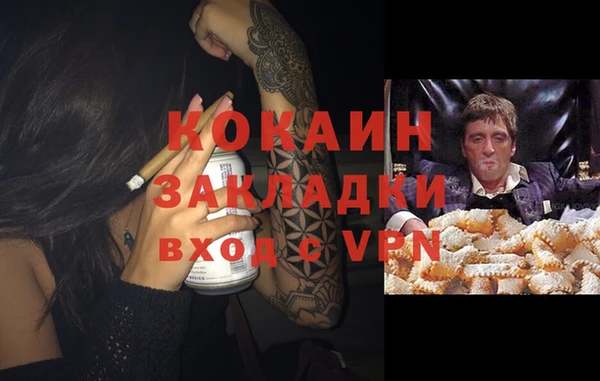 молекула духа Алексин